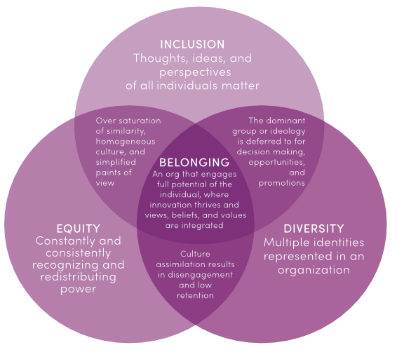 equity, diversity, & inclusion infographic