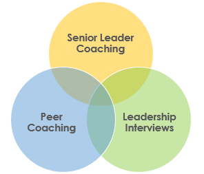 Three overlapping circles that say: Senior Leader Coaching, Peer Coaching, and Leadership Interviews