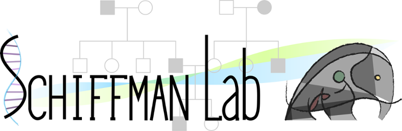 The words Schiffman Lab next to a stylized drawing of an elephant