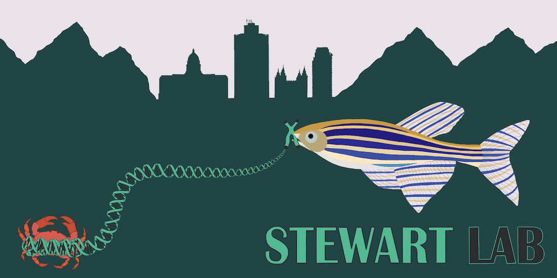 Stewart Lab Banner