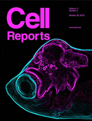 Stewart Lab - Cell Reports Cover
