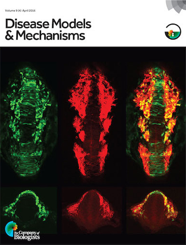 Stewart Lab - Disease Models & Mechanisms Cover