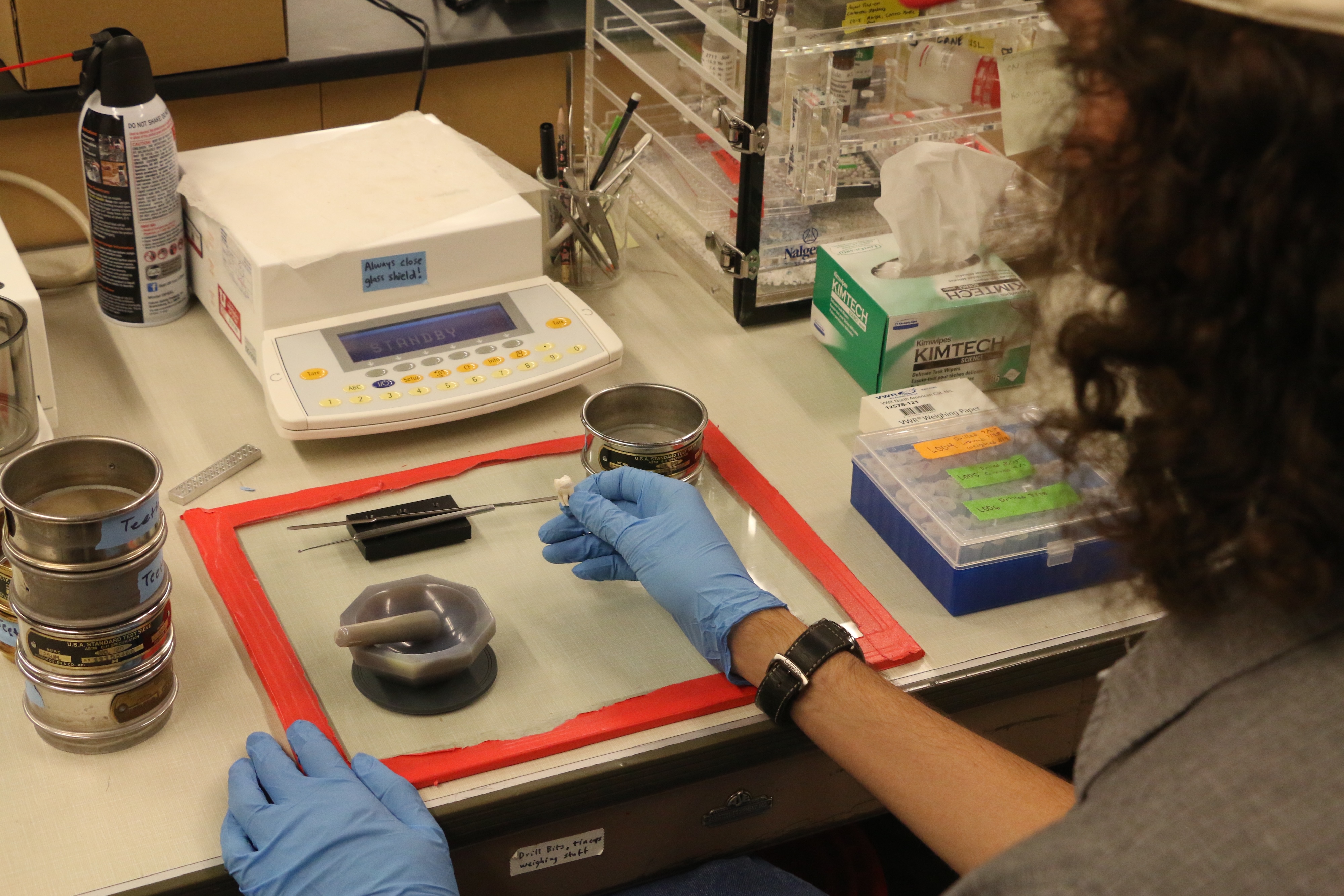 Over-the-shoulder photo of a person wearing lab gloves holding a tooth in front of a lab bench.
