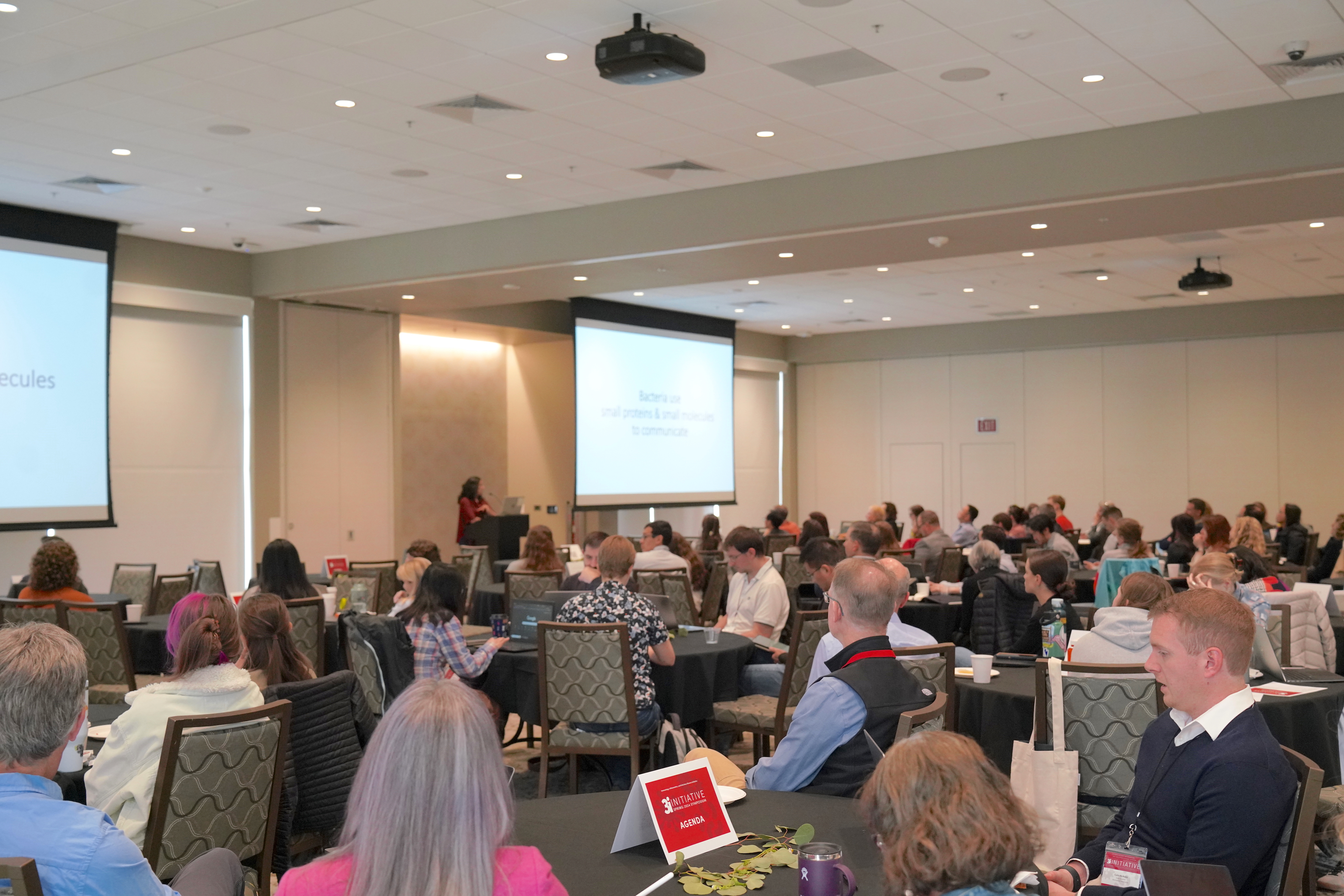 Crowd of seated researchers watching a presenter at the front of a large conference space.