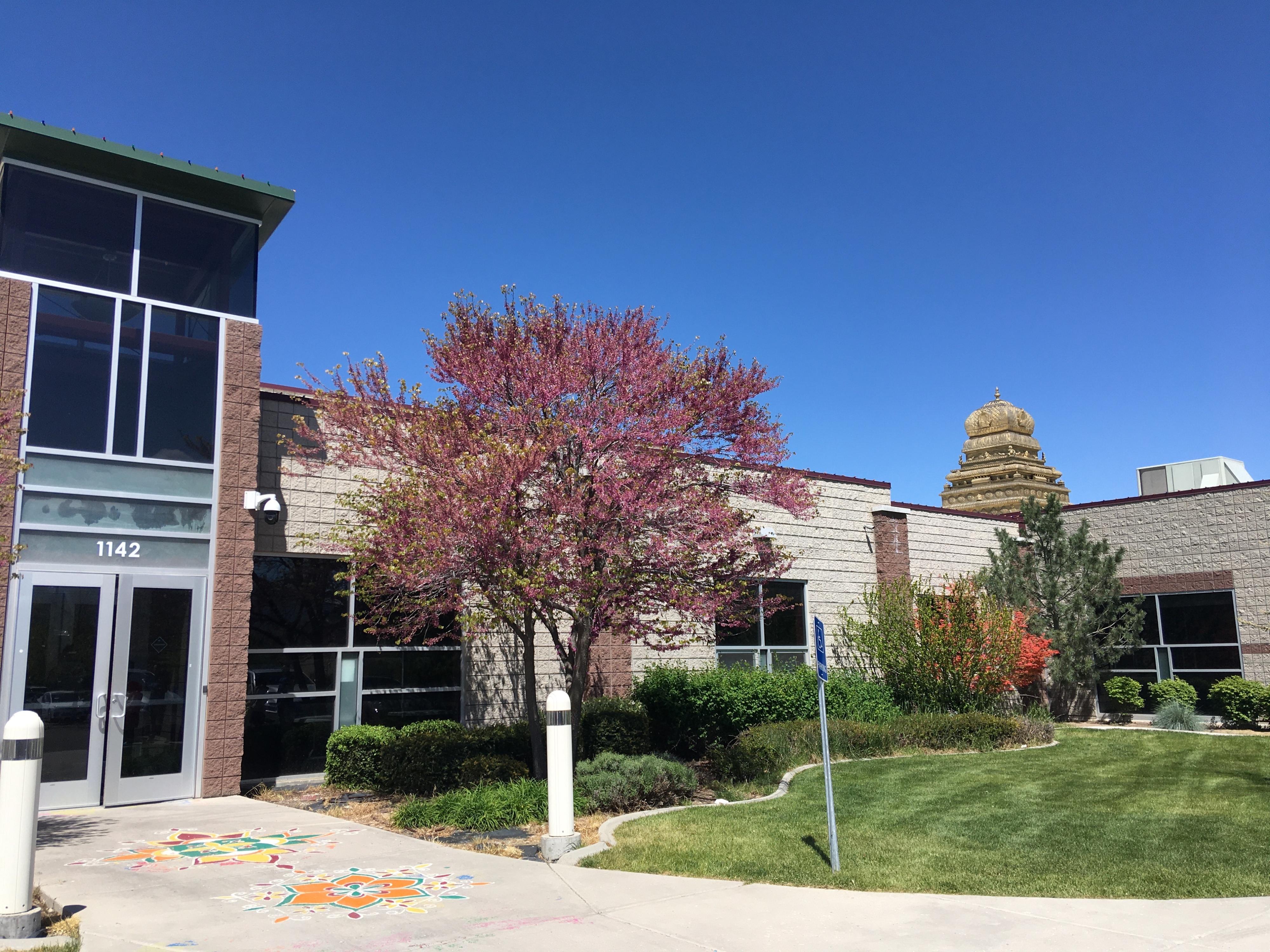 Sunny day outside a low-slung building with geometric patterns painted on the sidewalk, a cherry tree blooming in the foreground, and a tiered temple roof visible in the distance.