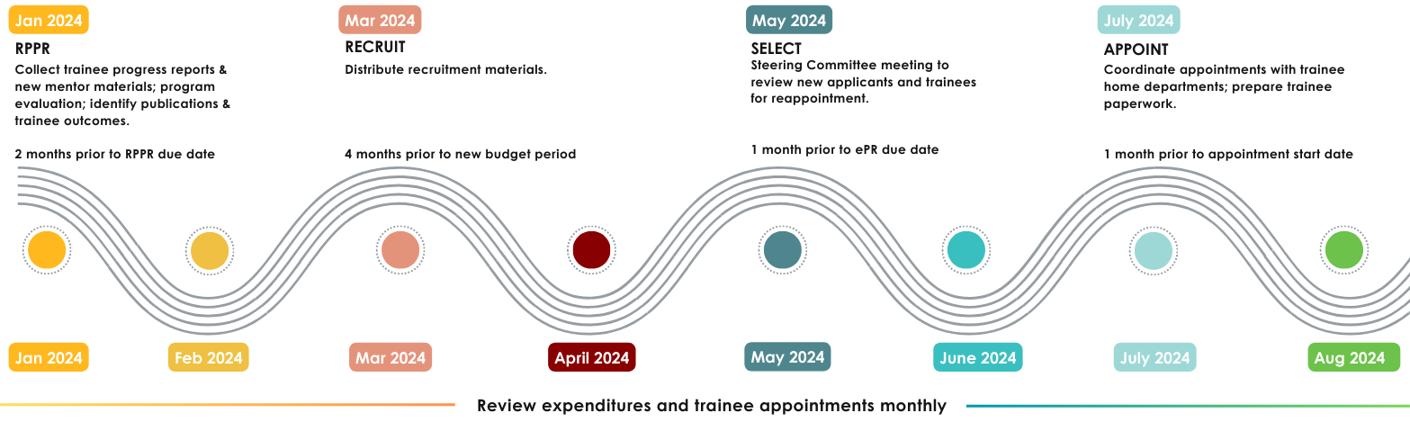 Sample program timeline