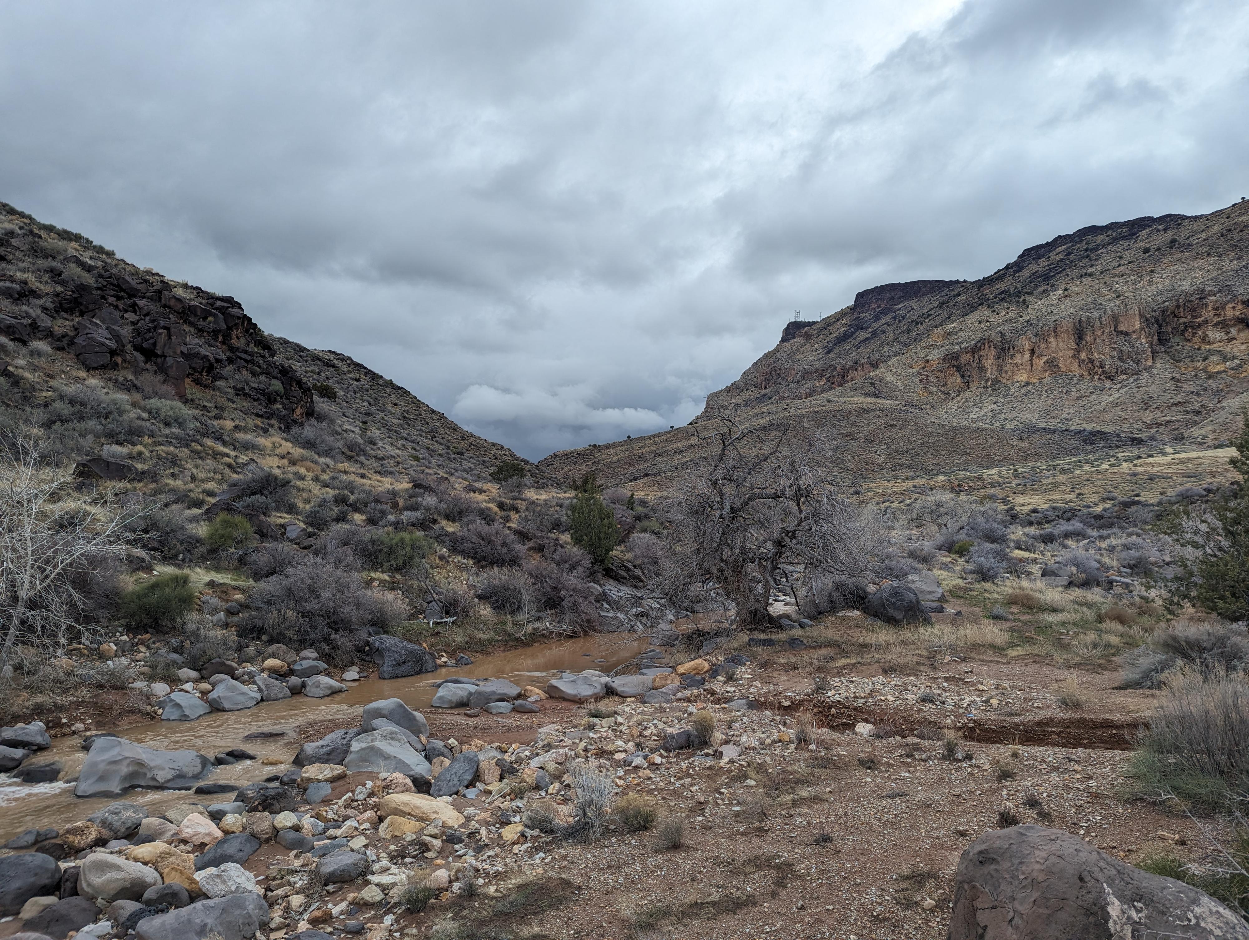 Rocky creek flowing between mesas beneath a cloudy sky.