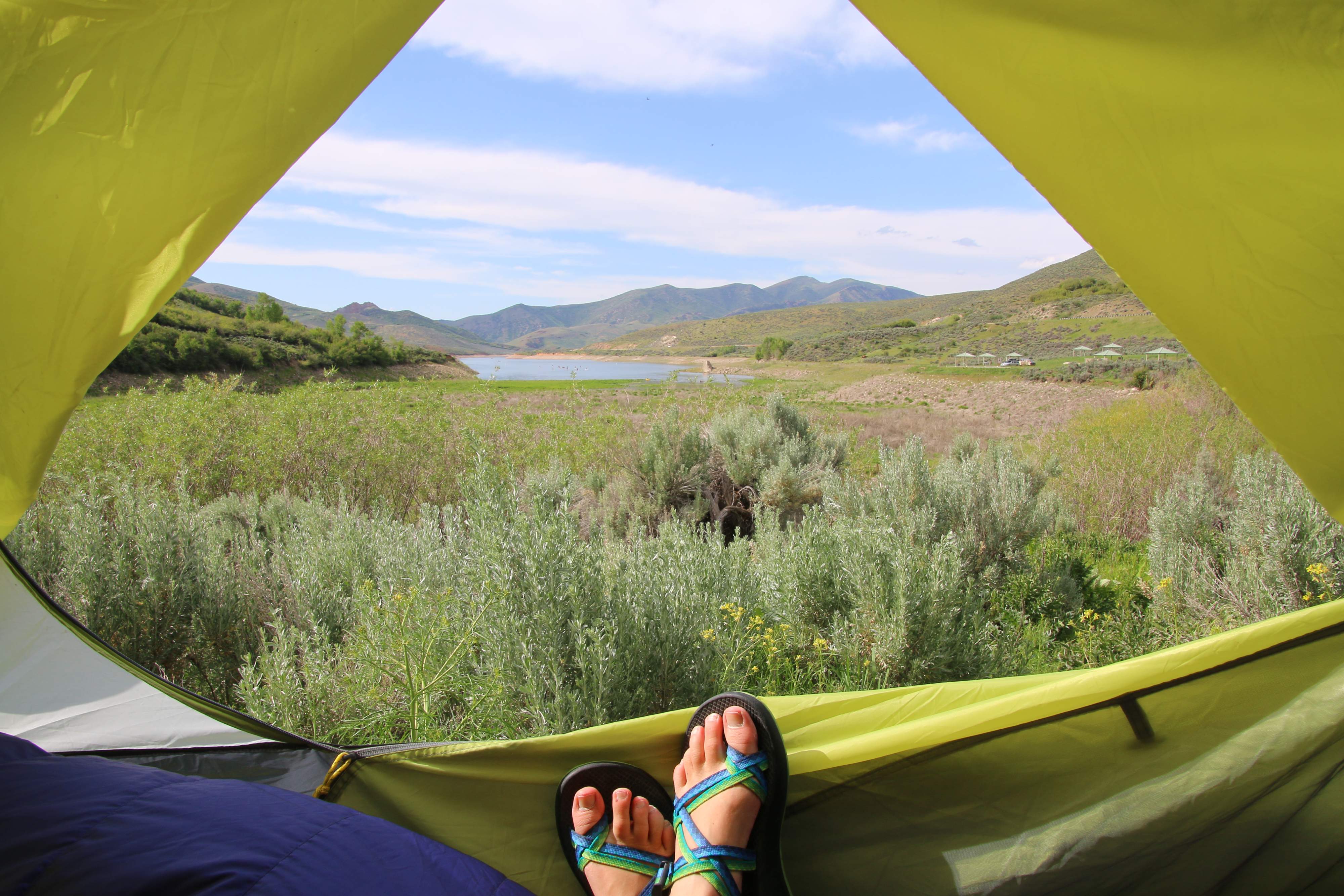 An outdoor landscape from inside a tent