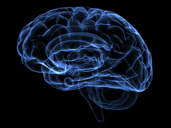 Brain Video Stirs Fascination, Goes Viral, University of Utah Health
