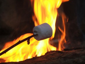 Campfire Marshmellow Fire