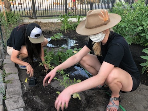 Utah Center for Community Nutrition, Palmer Court Community Garden