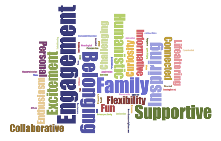 SOM core educators retreat word cloud