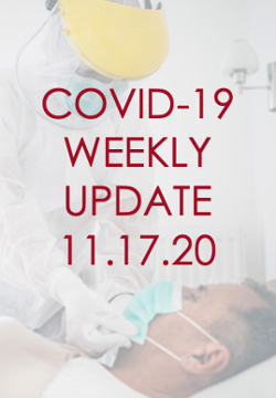 covid-weekly-update-11-17-20-v-2.png
