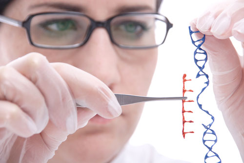 Scientist removing section of DNA from model
