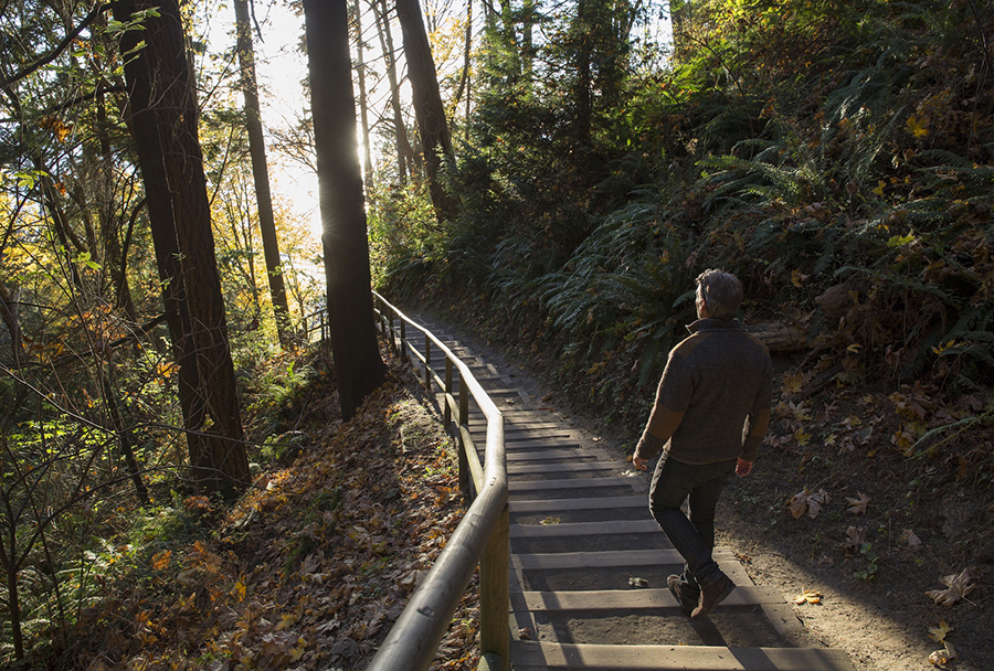 forest-path.jpg