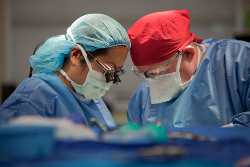 Gender equity at U of U Health 