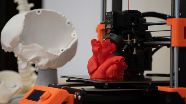 EHSL is using 3D printing to expand their teaching model collection