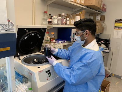 Scientist in the laboratory
