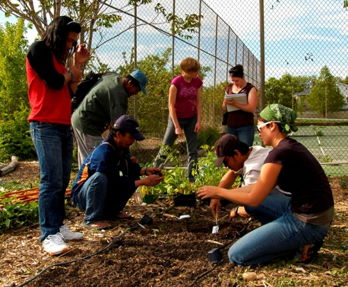 U of U College of Health Immigration & Resettlement Fieldwork Project