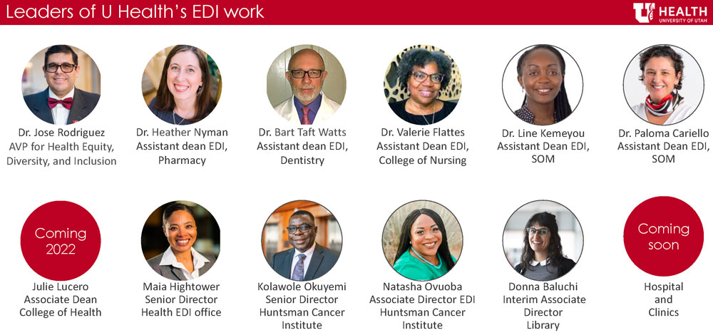 Health EDI Leaders