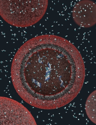 Still image of a protocell