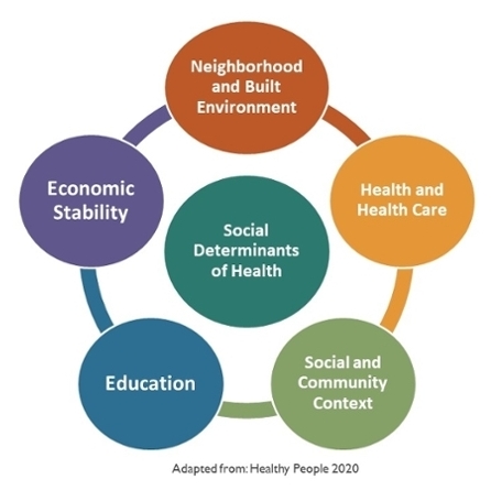 social determinants of health