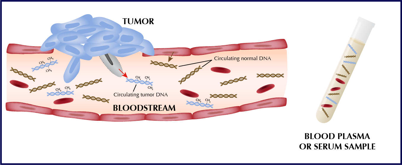 Diagram of tumor DNA