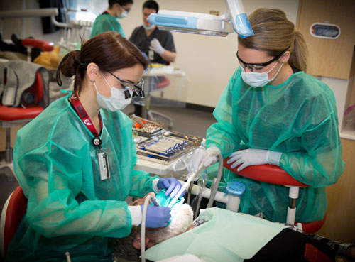 Women in dentistry, U of U Health