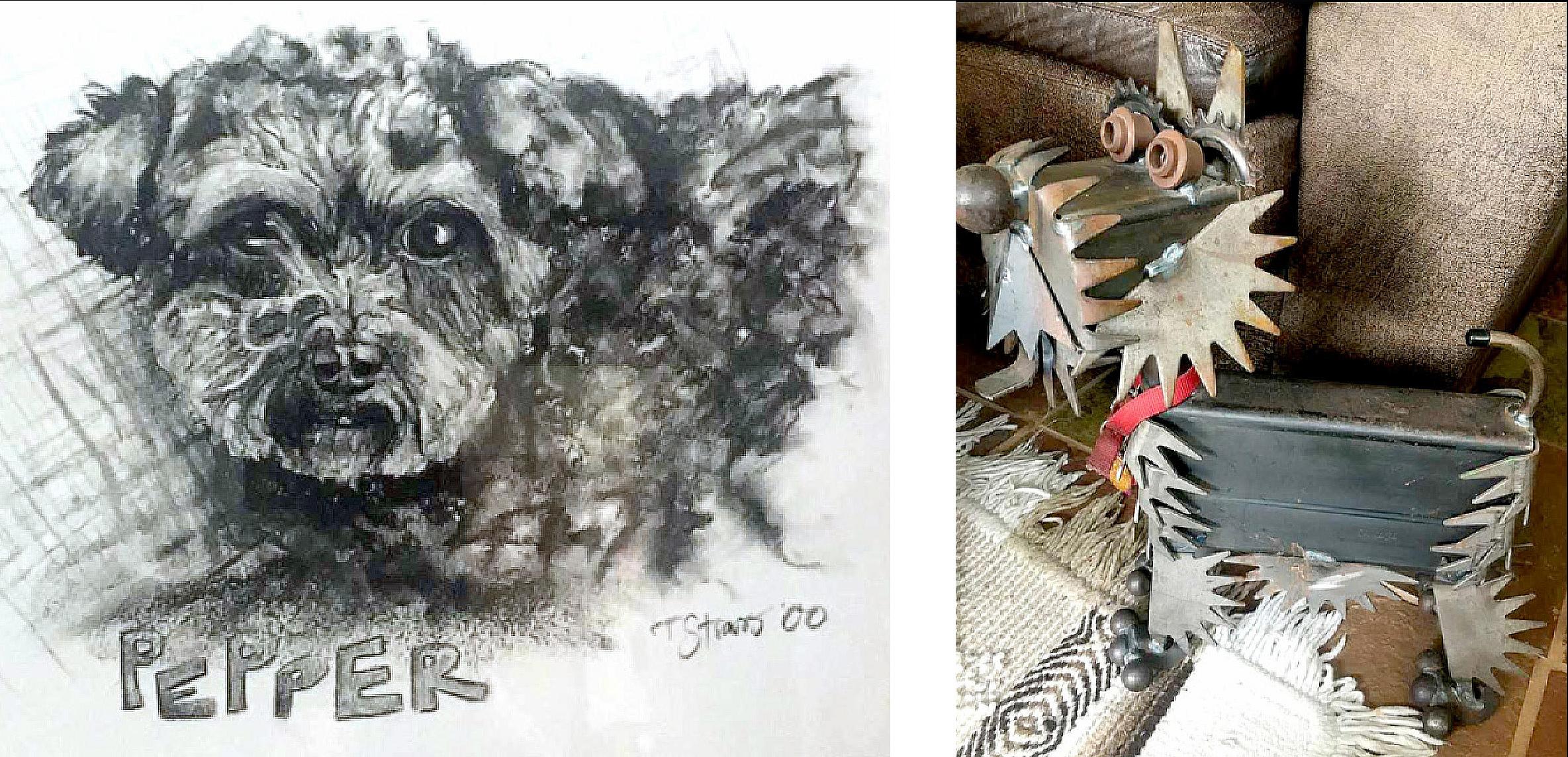 Black and white drawing of a dog labelled Pepper