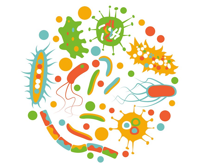 Illustration of micro organisms
