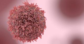 Cancer Genomics Pink