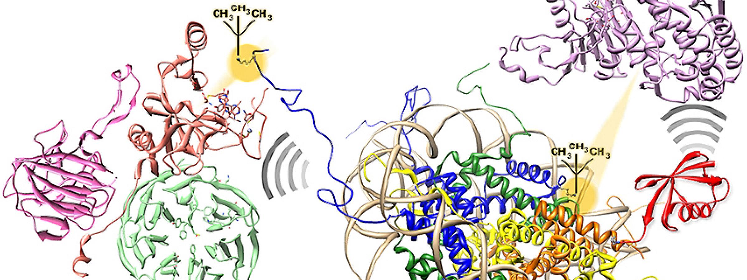 Chemistry Squiggly Lines Cellular Twins