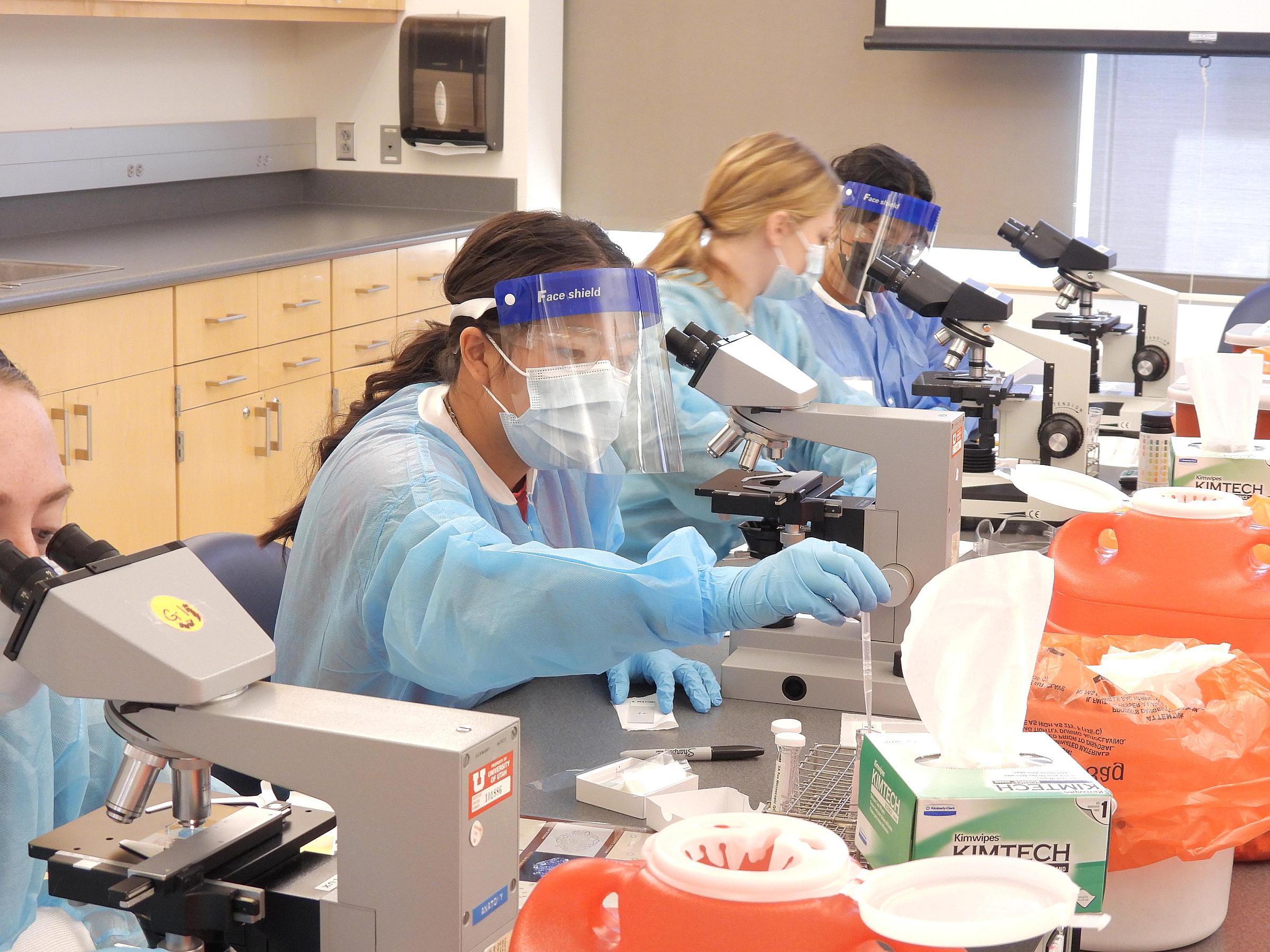 Lab Student using wet slide under microscope