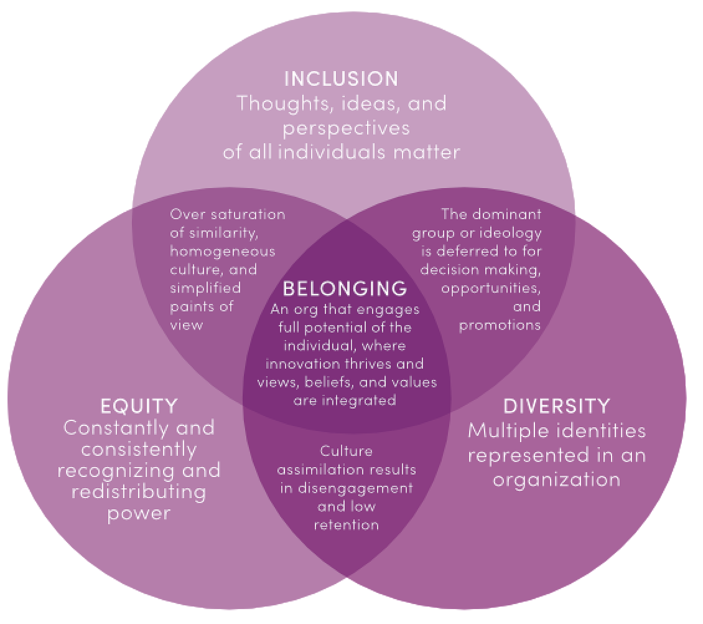 Inclusion, Equity, Diversity, and Belonging Venn Diagram