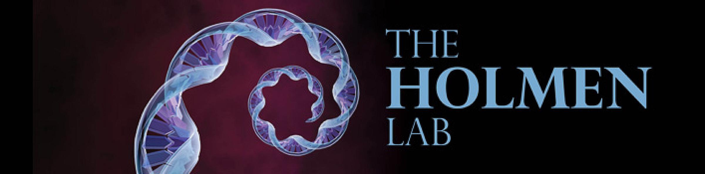 The Holmen Lab Hero Image DNA