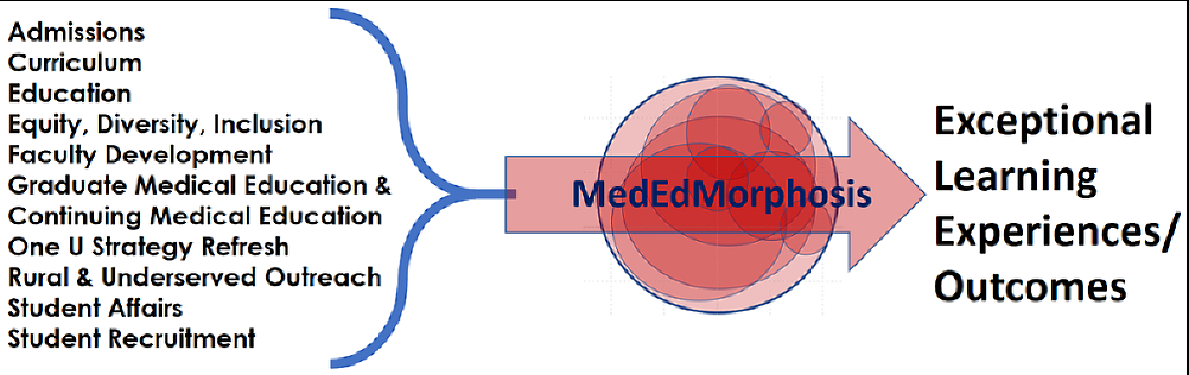 MedEdMorphosis Graphic