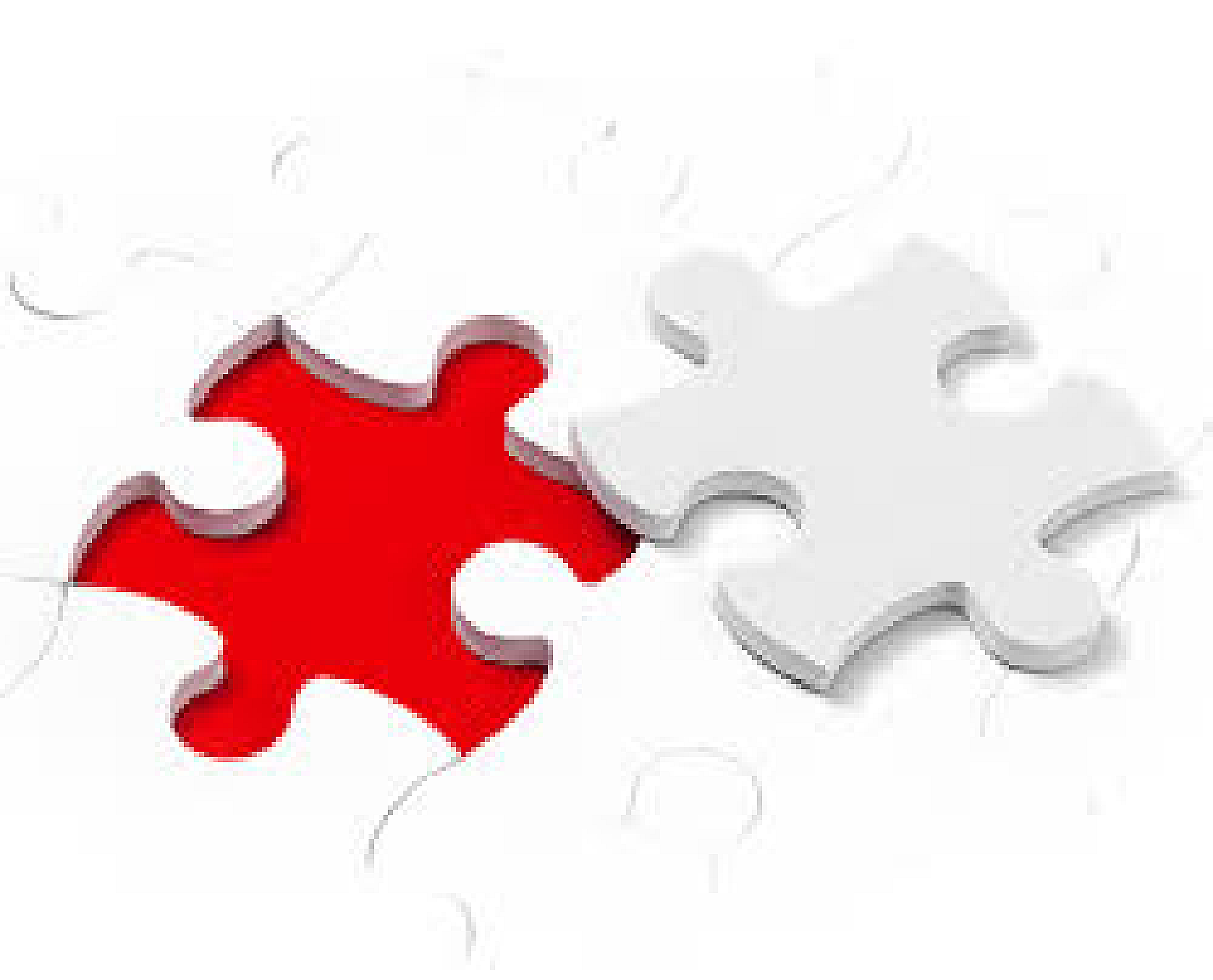 Ombuds Puzzle Pieces