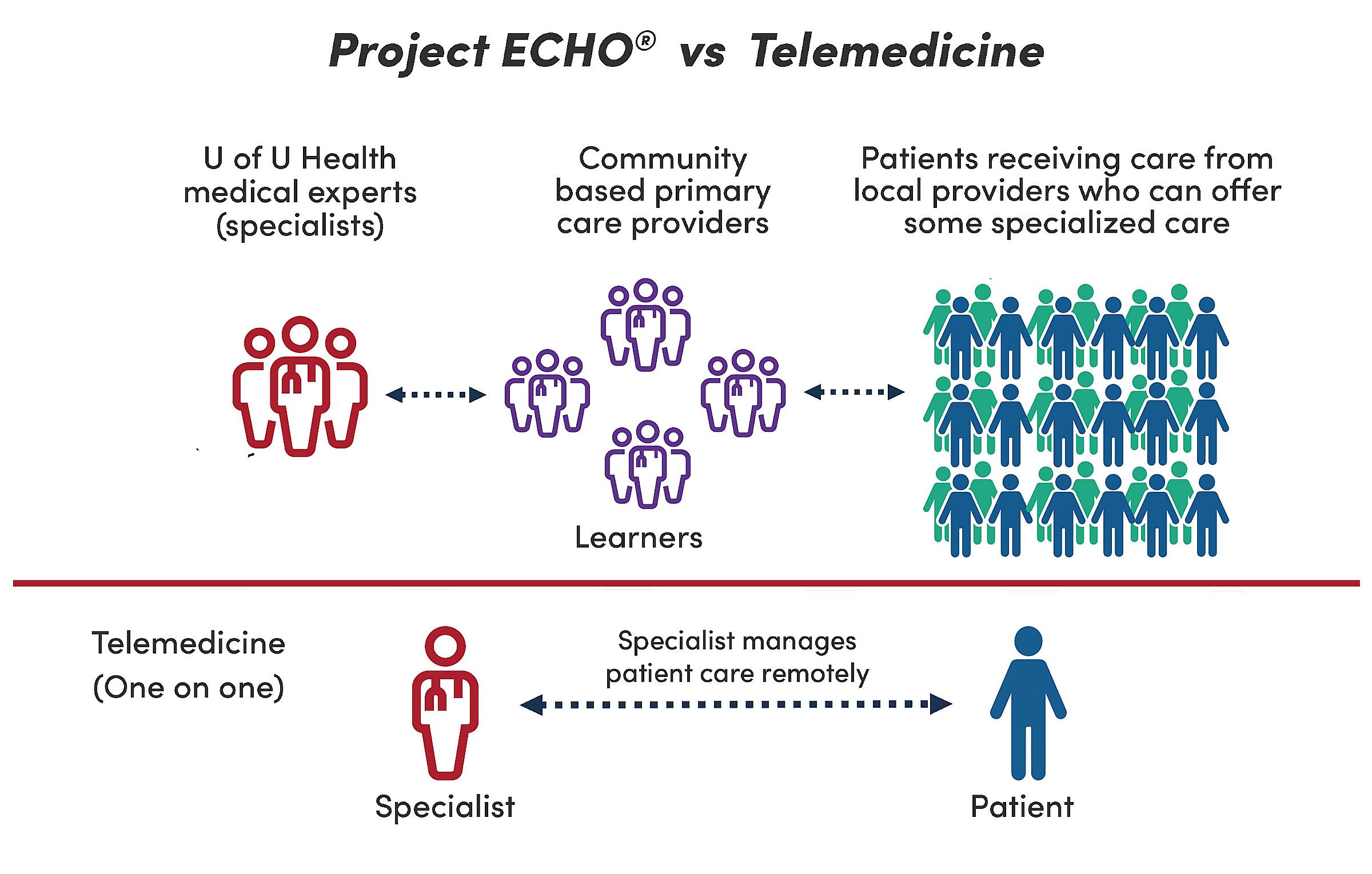 Project Echo Infographic