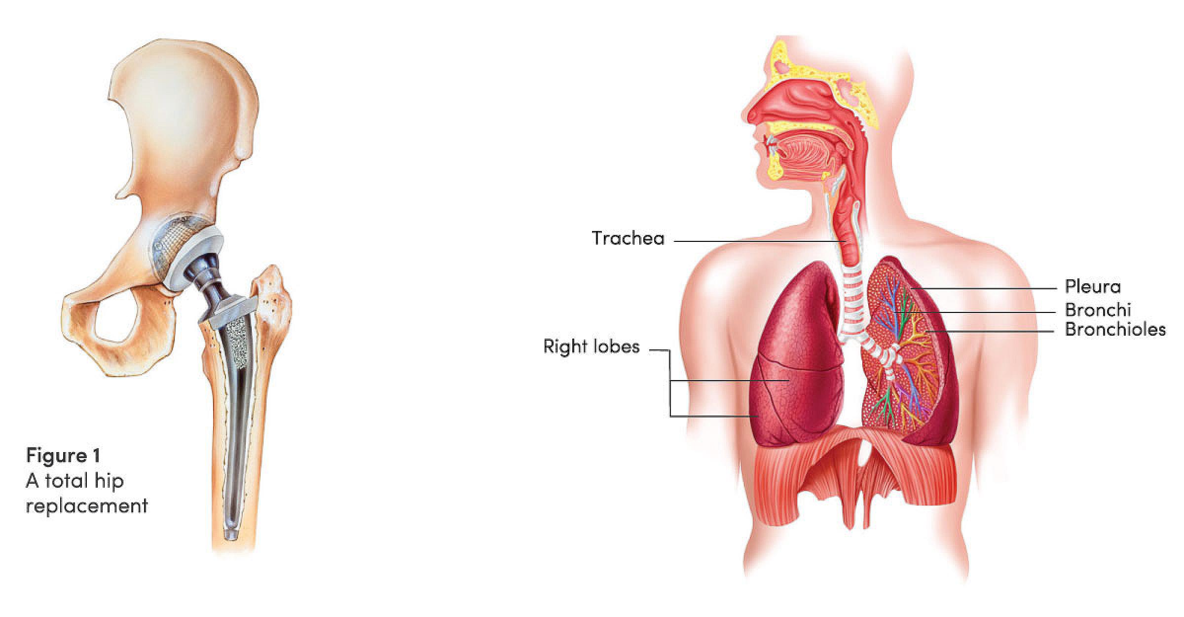 Brand & Style Guide illustration-medical-2