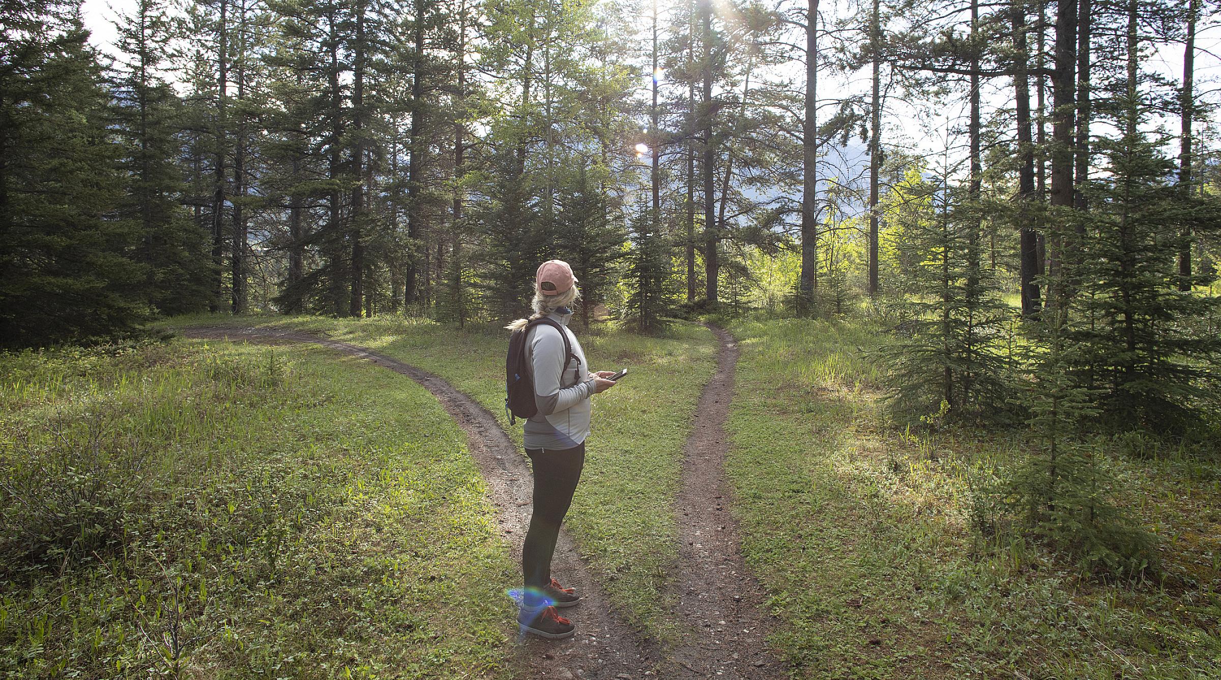 Hiker stops at forked forested trail
