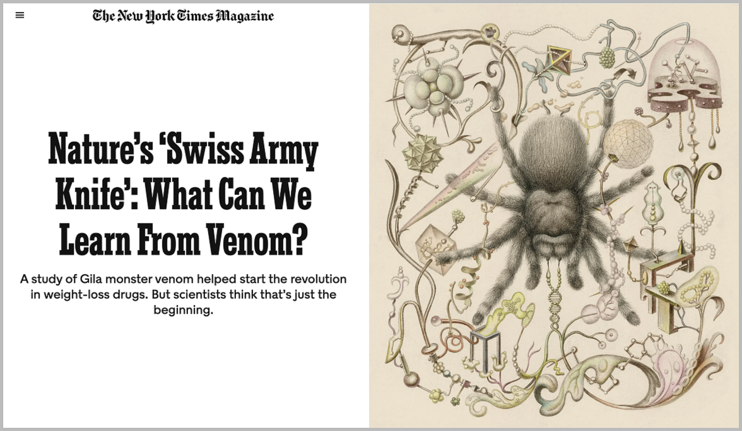 New York Times Magazine