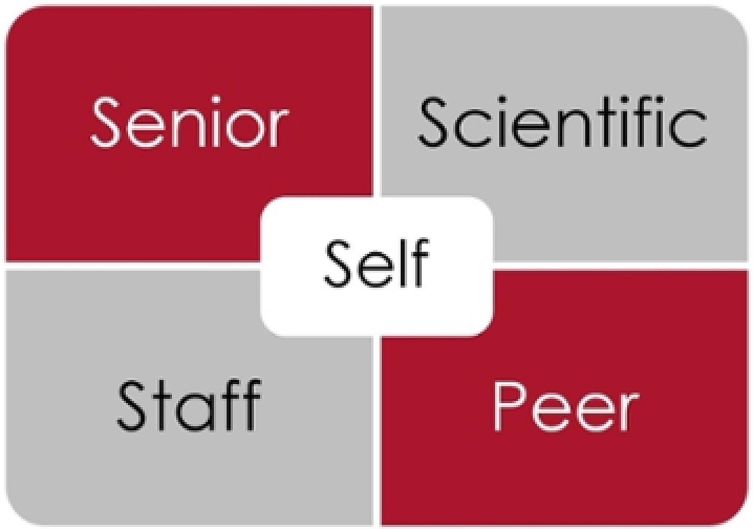 matrix mentoring model