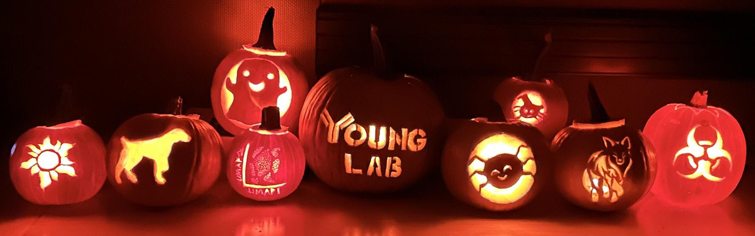 2nd Annual Young Lab Pumpkin Carving