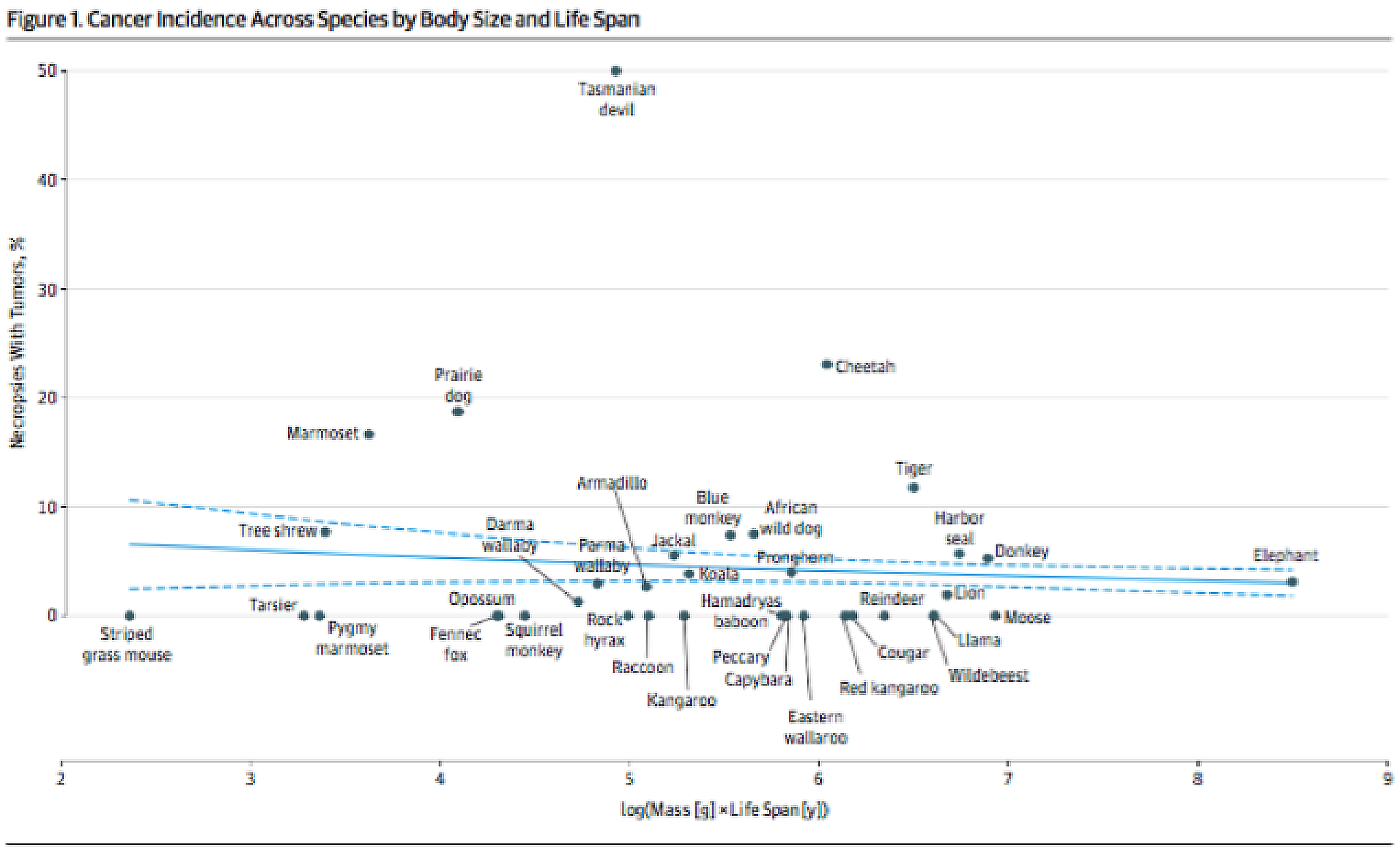 Graph of cancer incidence by body size and life span