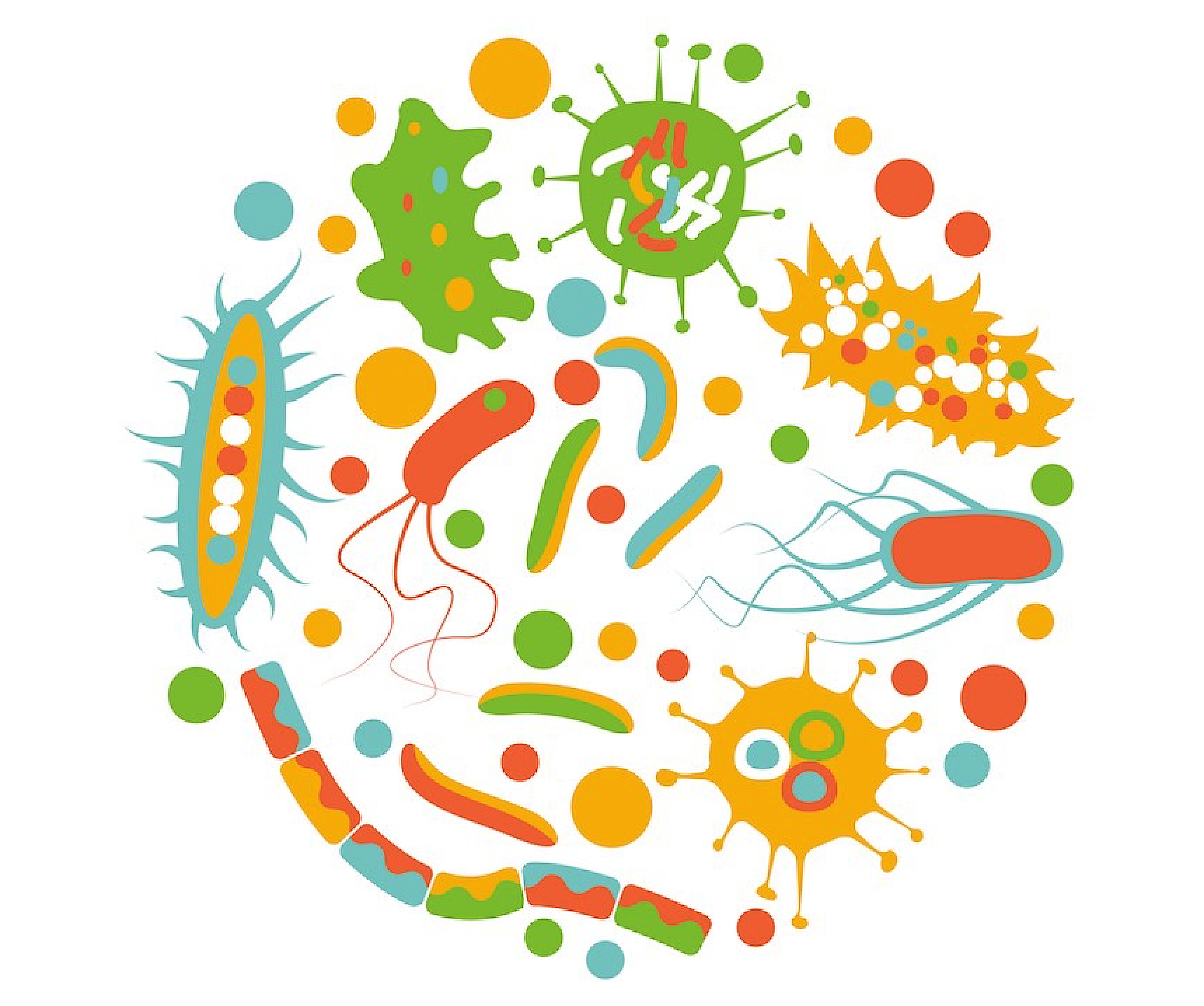 Microbiome Illustration