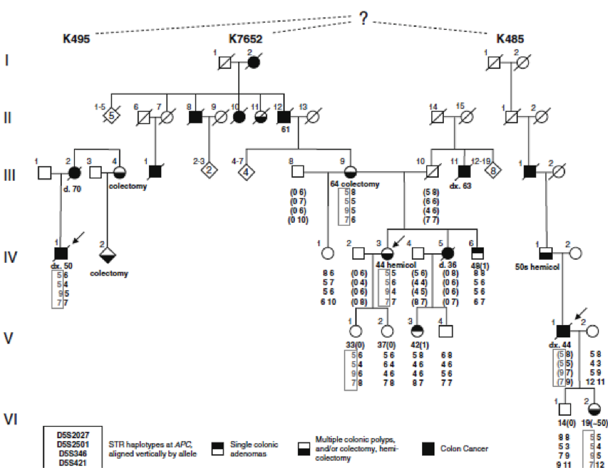 Graph of haplotype profiles