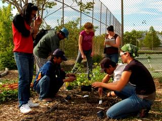 Immigrant Resettlement Garden
