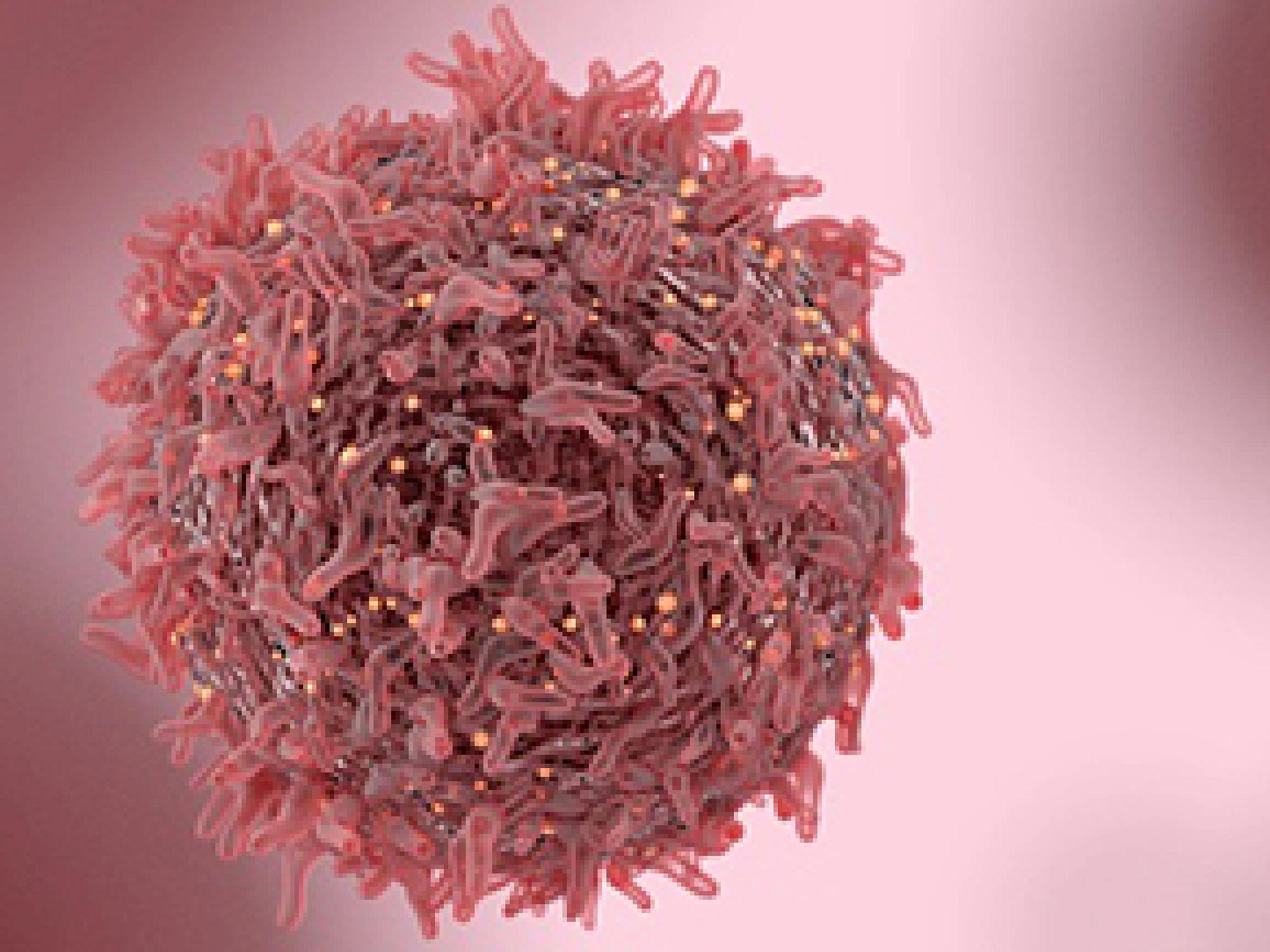 Cancer genomics