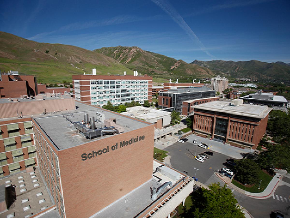 SOM School of Medicine Campus Overhead View