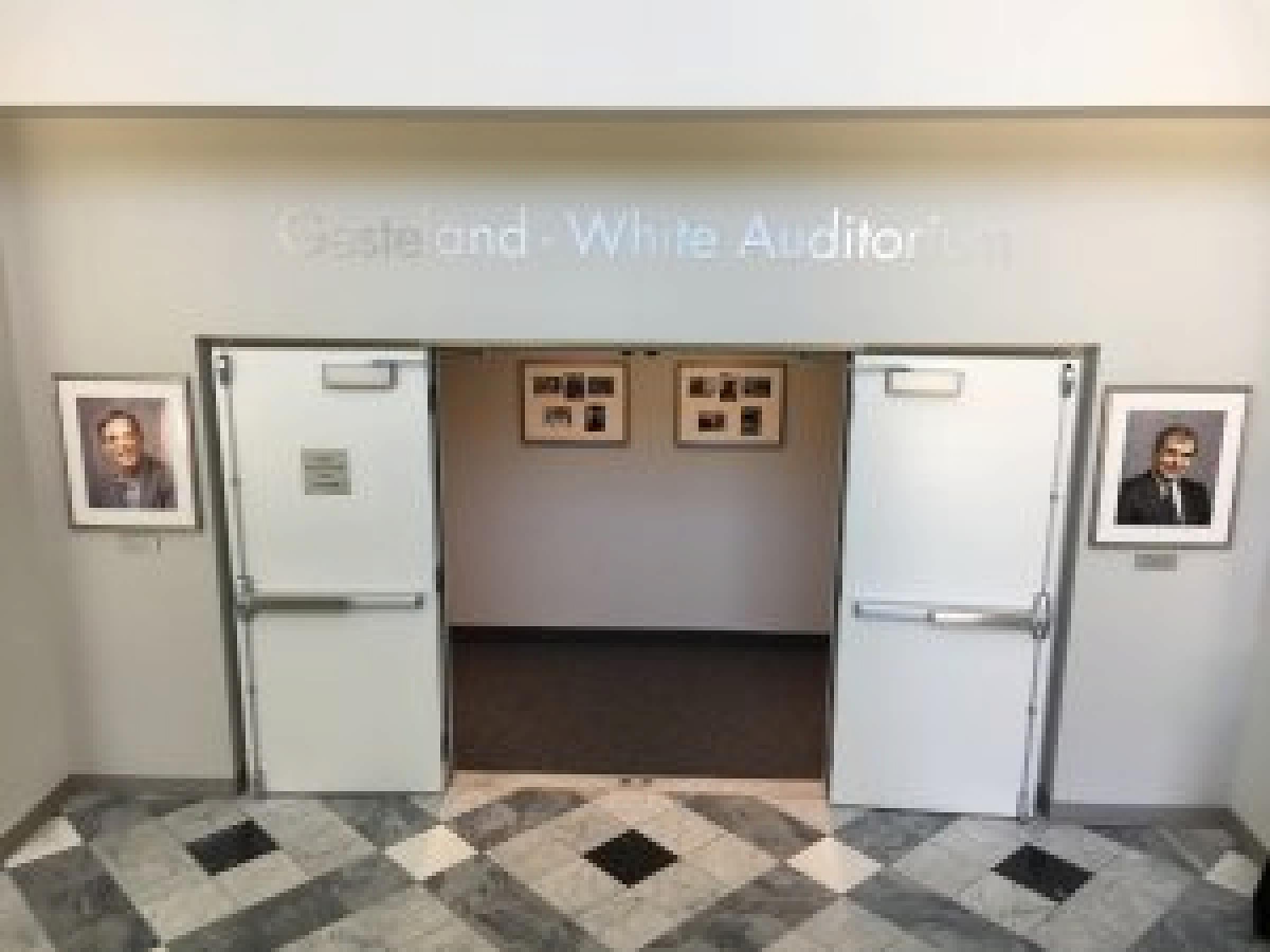 Auditorium doors in the Clinical Neurosciences Center, University of Utah